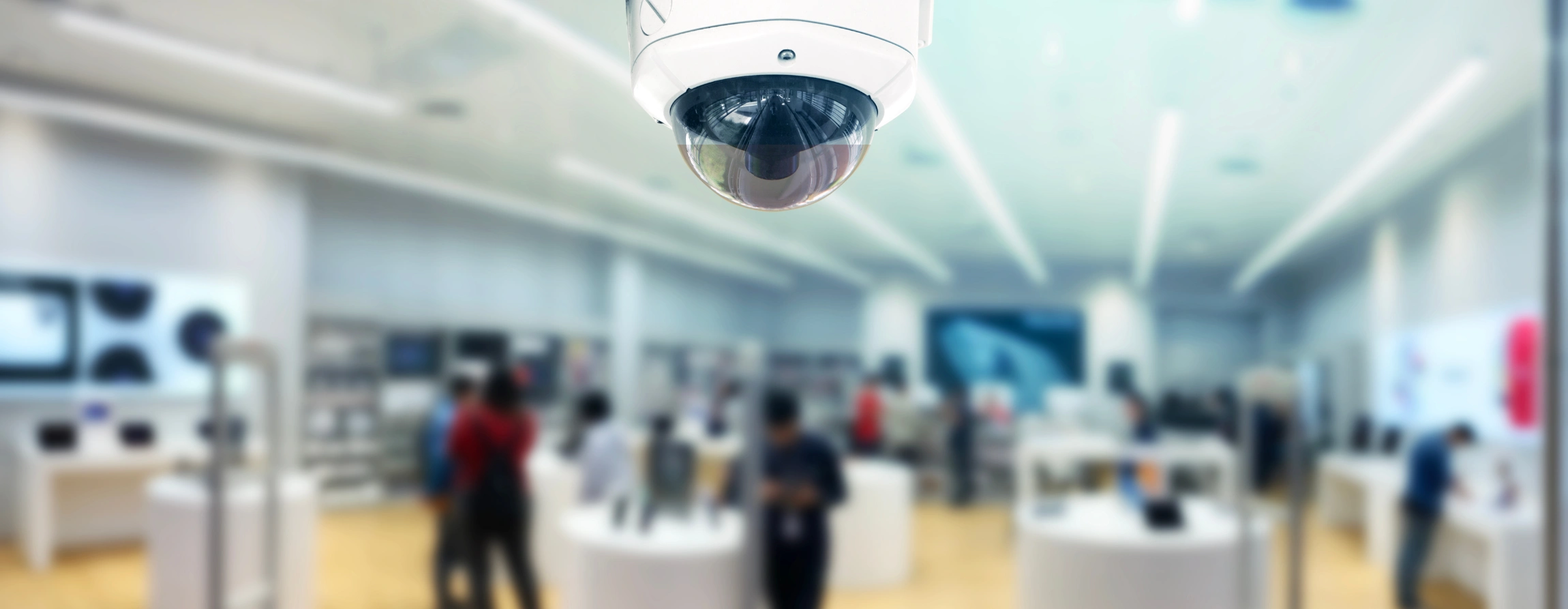 Retail Security